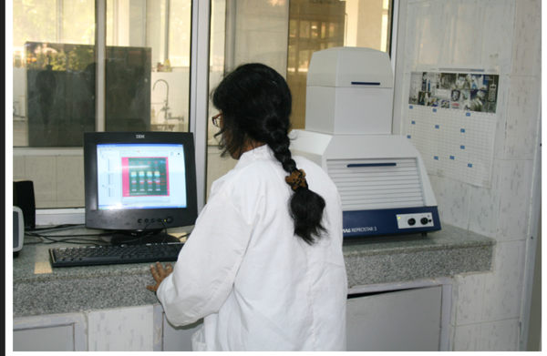 Central Council for Research in Ayurveda & Siddha Logo